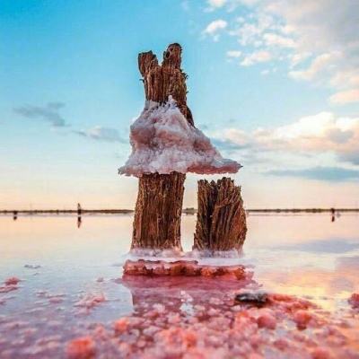 爱游戏ayx体育登录app下载