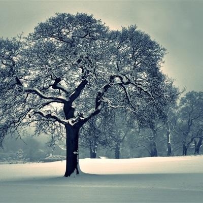 中欧·体育(KOK)中国官方网站app下载截图